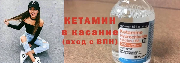 сатива Балахна