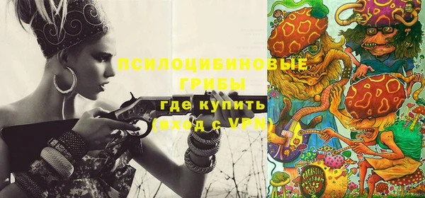 сатива Балахна