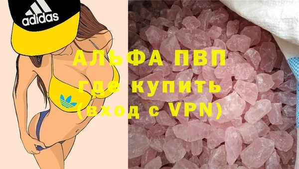 сатива Балахна
