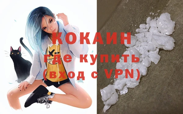 сатива Балахна