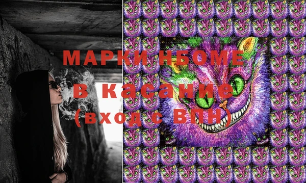 сатива Балахна
