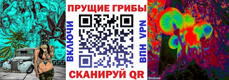 Псилоцибиновые грибы Cubensis MEGA tor Галич