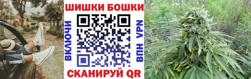 shop Telegram  Галич  Бошки Шишки Amnesia  где продают наркотики 